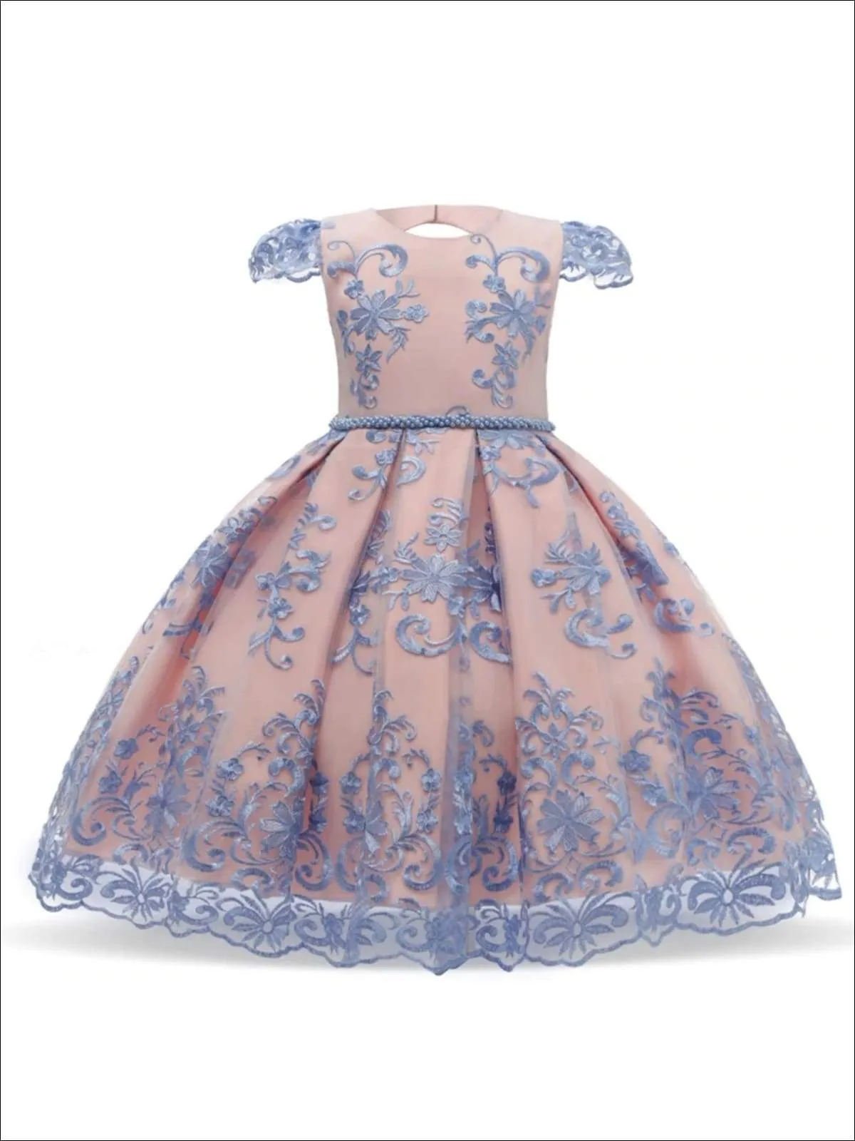 Enchanting Blue Floral Lace Princess Dress