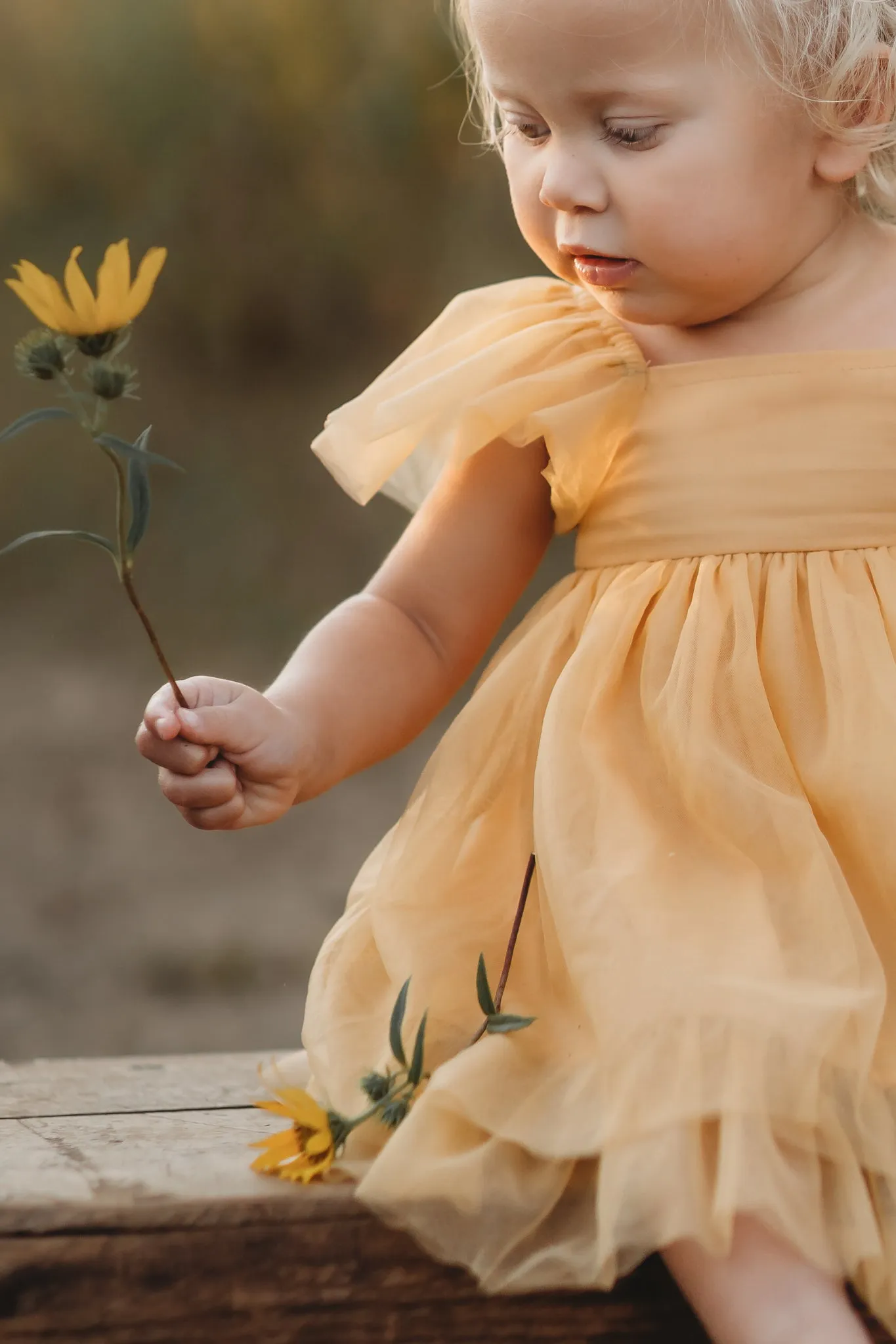 Fawn Dress (saffron tulle)