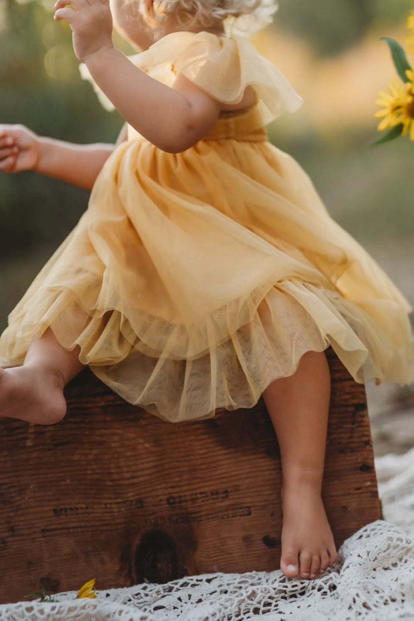 Fawn Dress (saffron tulle)