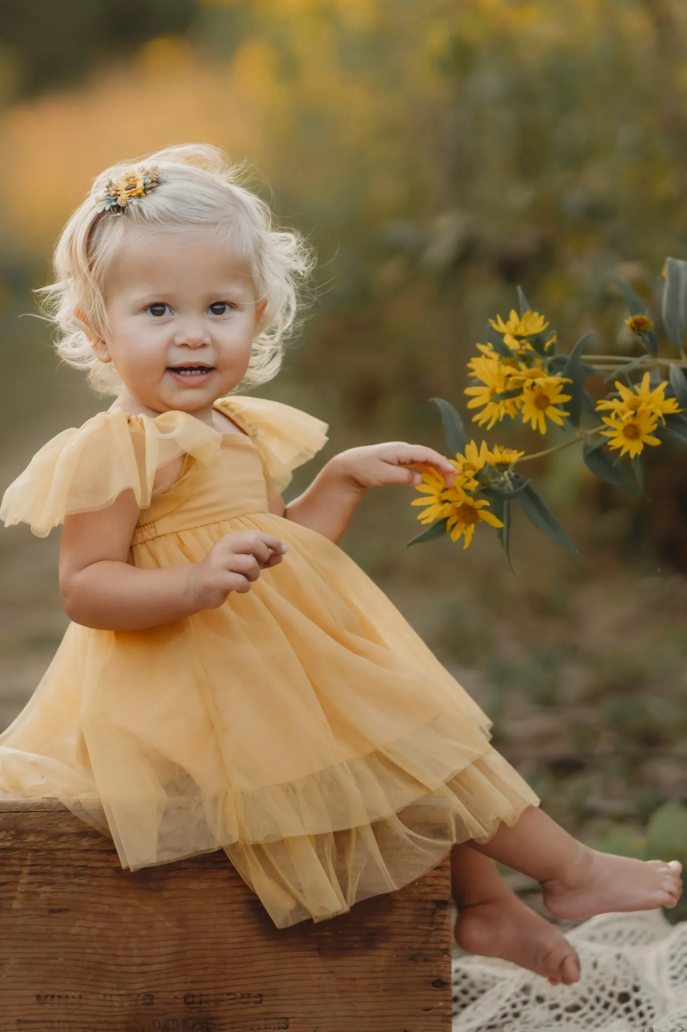 Fawn Dress (saffron tulle)