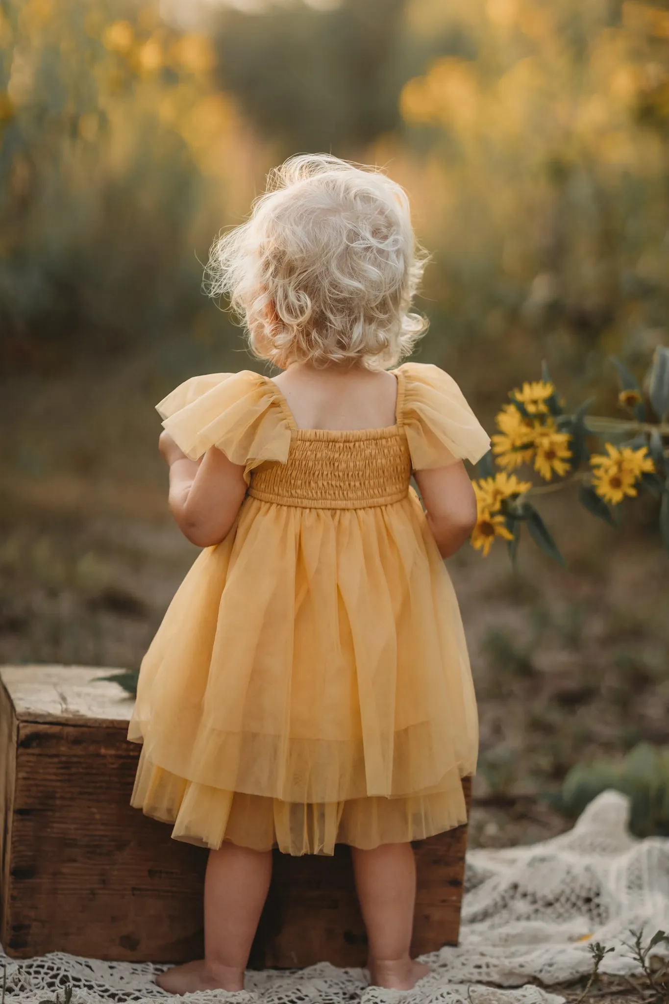 Fawn Dress (saffron tulle)