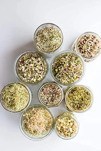KESI ORNAMENTS Sprout Maker With 4 Compartments For Multi Purpose Use - Plastic Grocery Container Sprouted Grains Seeds Dal Channa Chole Ragi Organic Sprouting Jar (500Ml,4-Layer)…