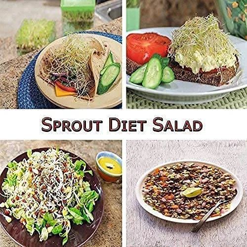 Rylan Sprout Maker with 4 Compartments for Multi Purpose Use - Plastic Grocery Container Sprouted Grains Seeds Dal Channa Chole Ragi Organic Sprouting Jar (500ml,4-Layer)