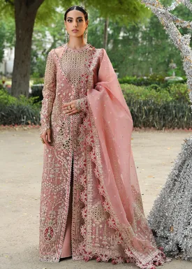Singhar Wedding Formals '24 by Qalamkar | RF-02 SALEHA