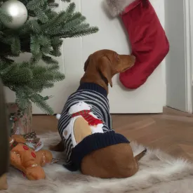 Stripey Polar Brrr Dog Jumper