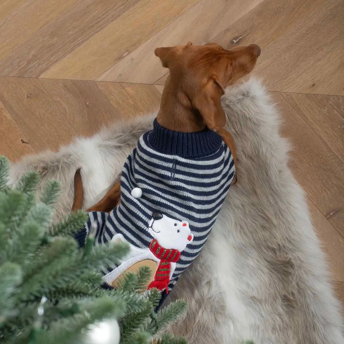 Stripey Polar Brrr Dog Jumper