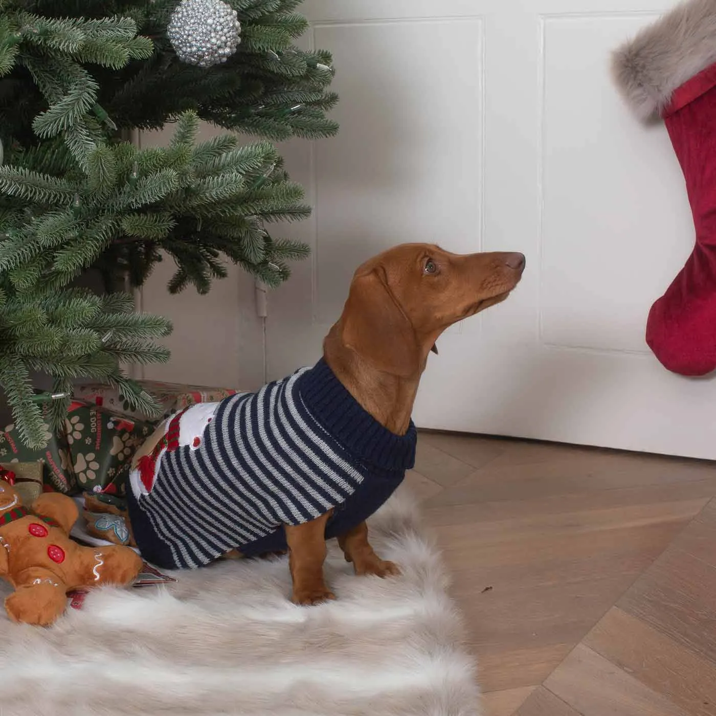 Stripey Polar Brrr Dog Jumper
