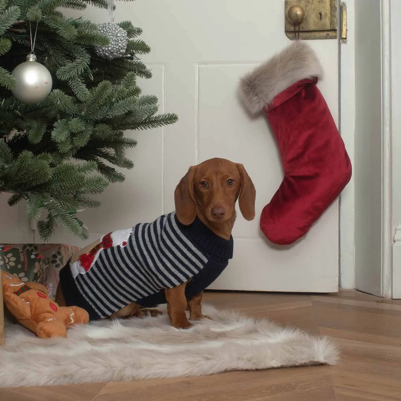 Stripey Polar Brrr Dog Jumper