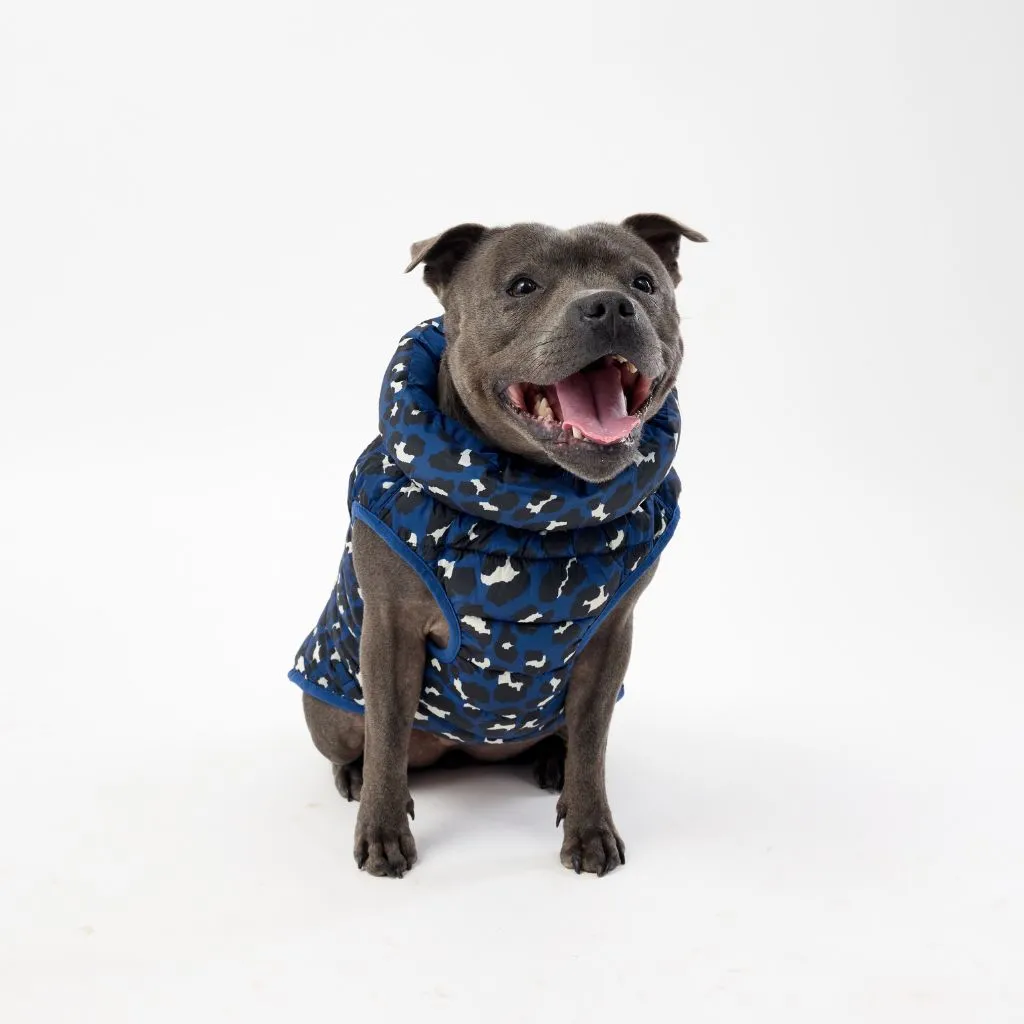 The Winterproof Reversible Dog Puffer Jacket | Blue Print