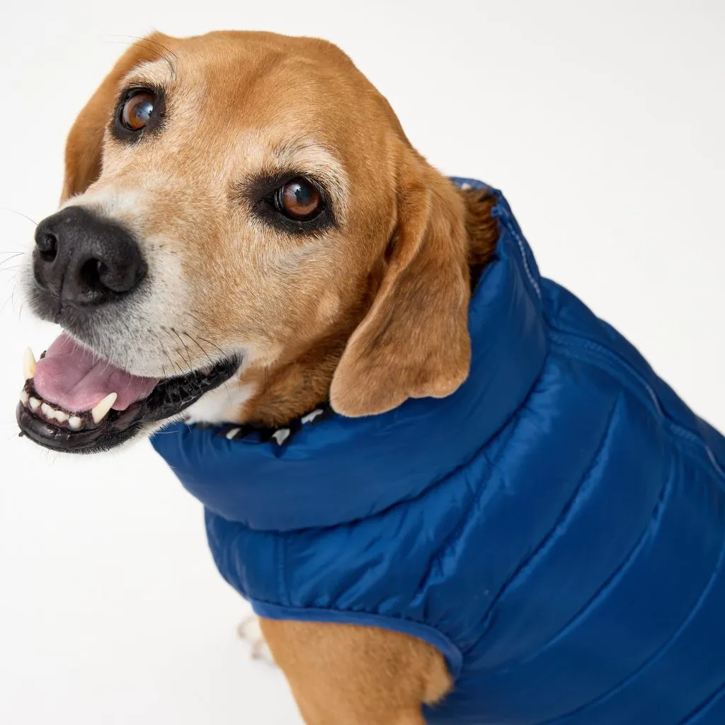 The Winterproof Reversible Dog Puffer Jacket | Blue Print
