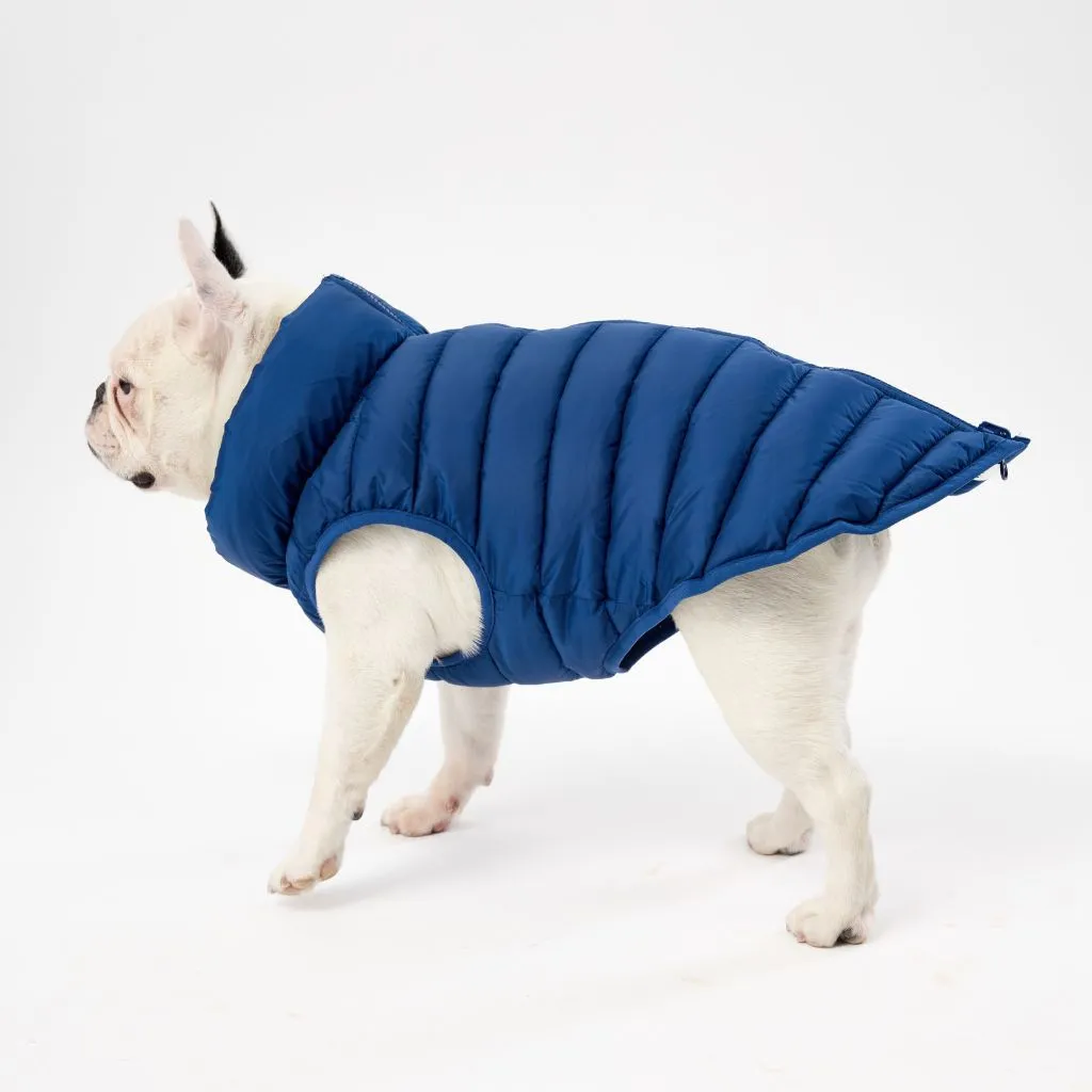 The Winterproof Reversible Dog Puffer Jacket | Blue Print
