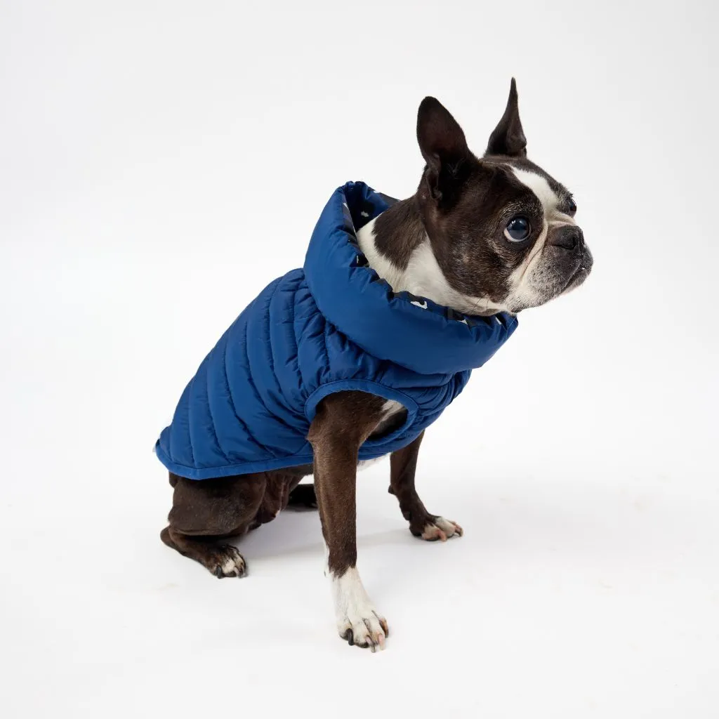 The Winterproof Reversible Dog Puffer Jacket | Blue Print