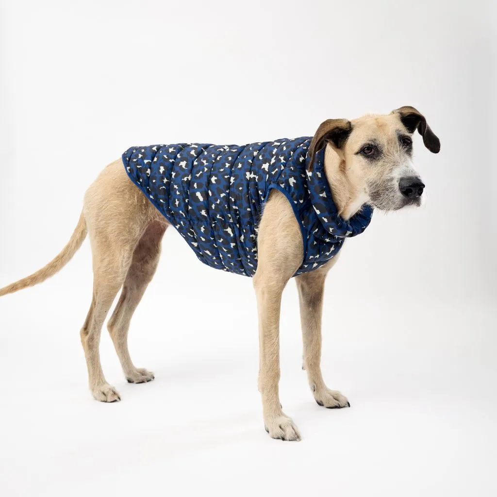 The Winterproof Reversible Dog Puffer Jacket | Blue Print