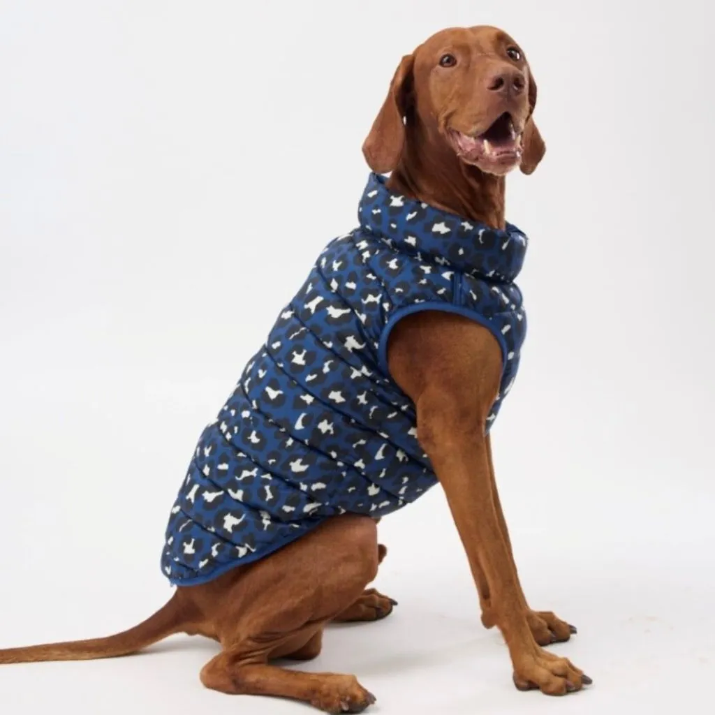The Winterproof Reversible Dog Puffer Jacket | Blue Print
