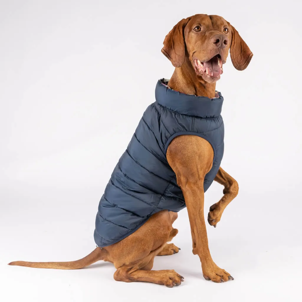 The Winterproof Reversible Dog Puffer Jacket | Blue