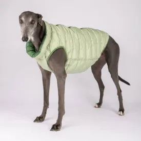 The Winterproof Reversible Dog Puffer Jacket | Elm Green