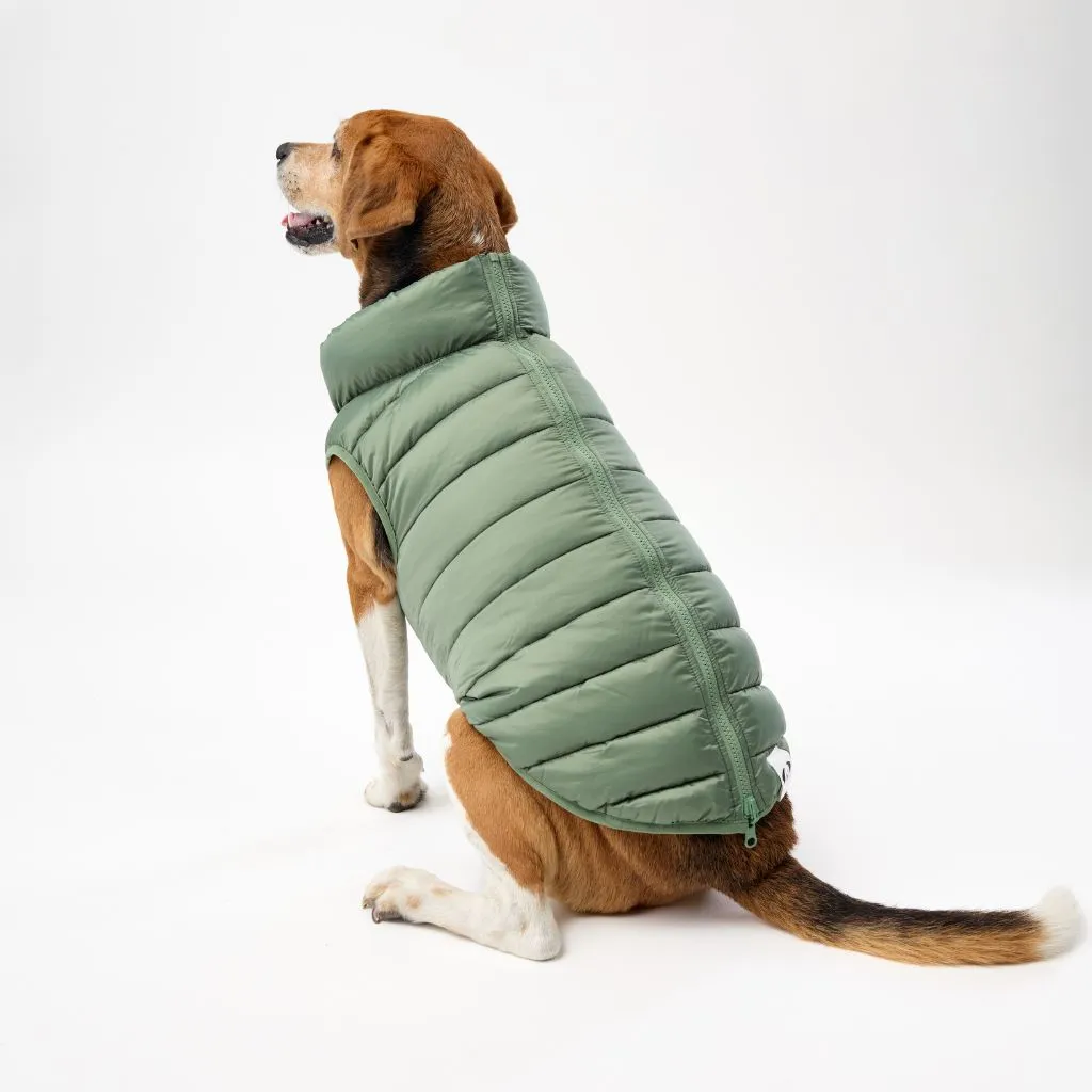 The Winterproof Reversible Dog Puffer Jacket | Green Print