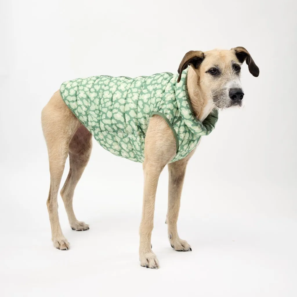 The Winterproof Reversible Dog Puffer Jacket | Green Print