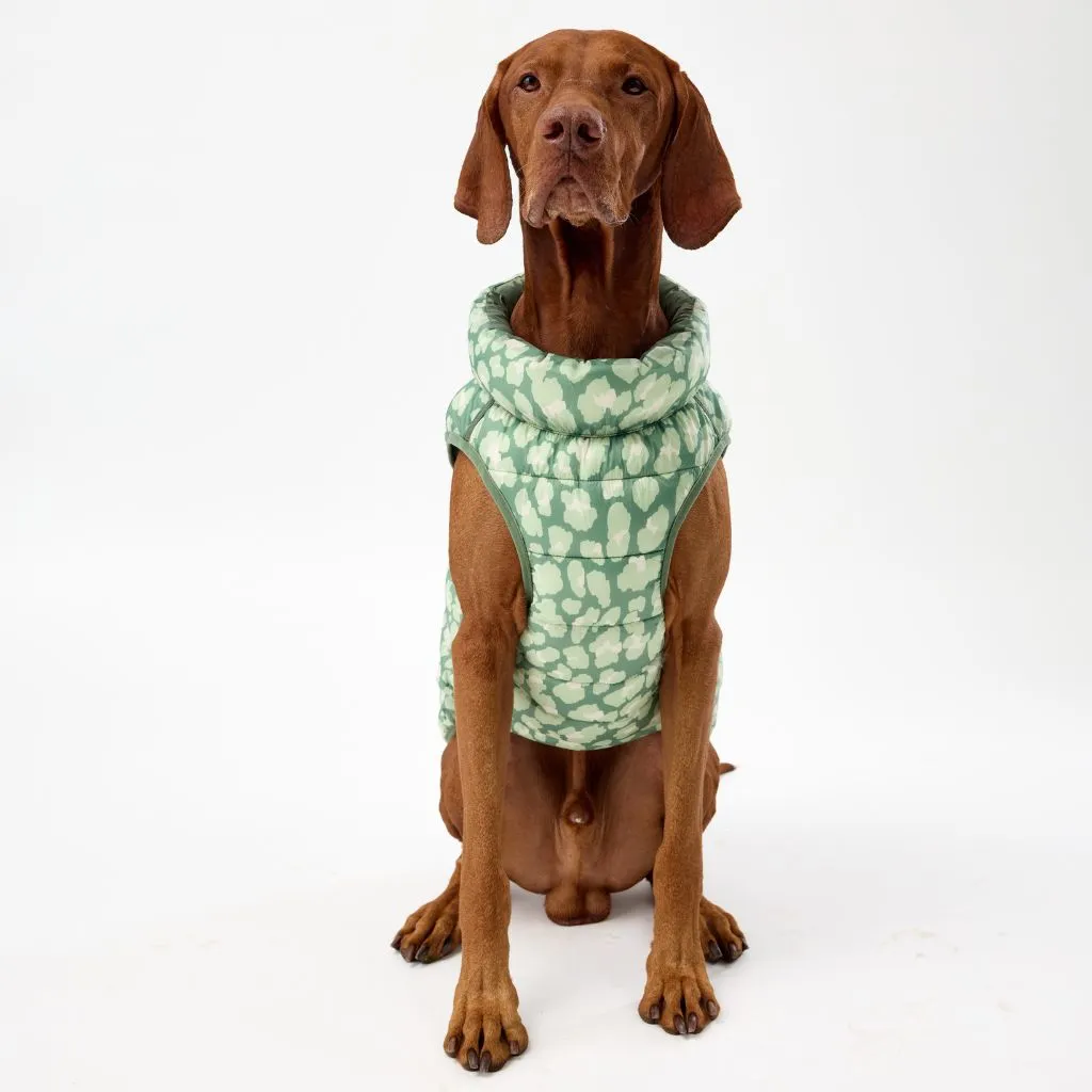 The Winterproof Reversible Dog Puffer Jacket | Green Print
