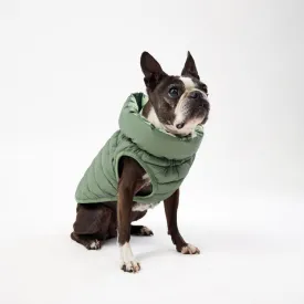The Winterproof Reversible Dog Puffer Jacket | Green Print