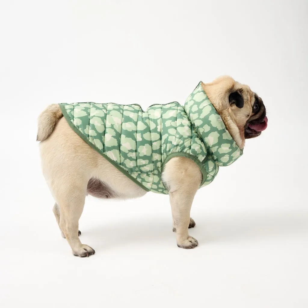 The Winterproof Reversible Dog Puffer Jacket | Green Print