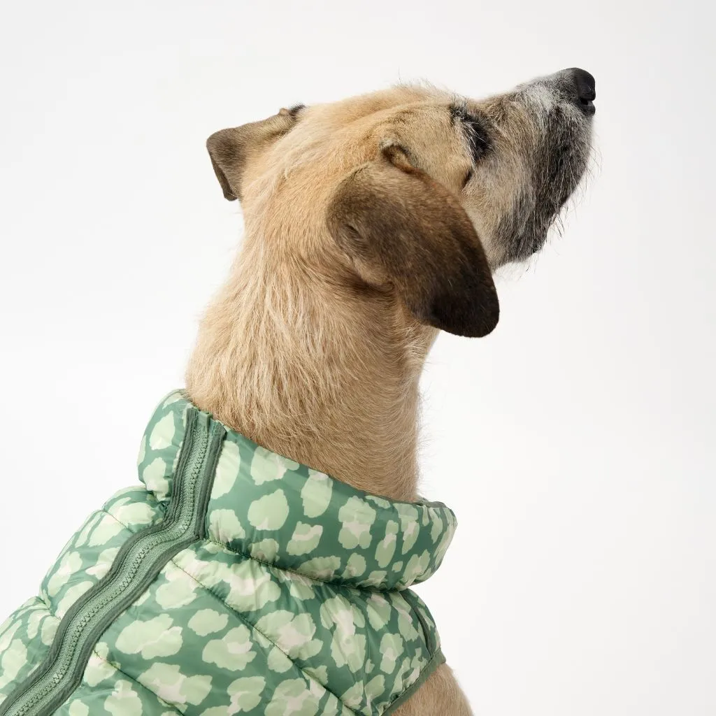 The Winterproof Reversible Dog Puffer Jacket | Green Print