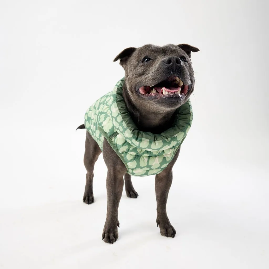 The Winterproof Reversible Dog Puffer Jacket | Green Print