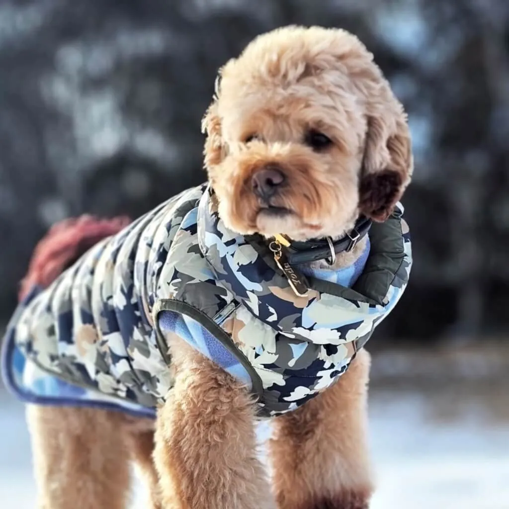 The Winterproof Reversible Dog Puffer Jacket | Green