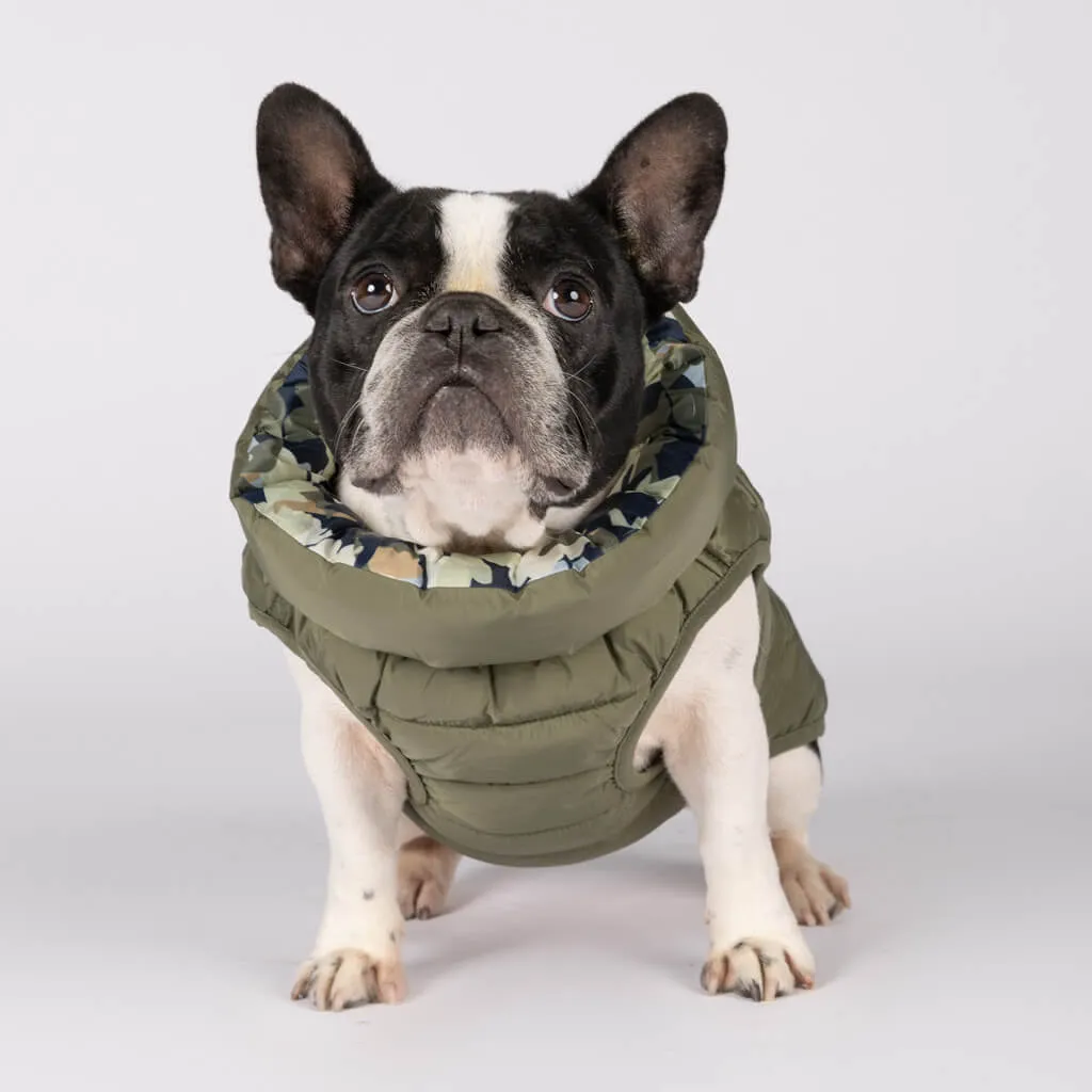 The Winterproof Reversible Dog Puffer Jacket | Green