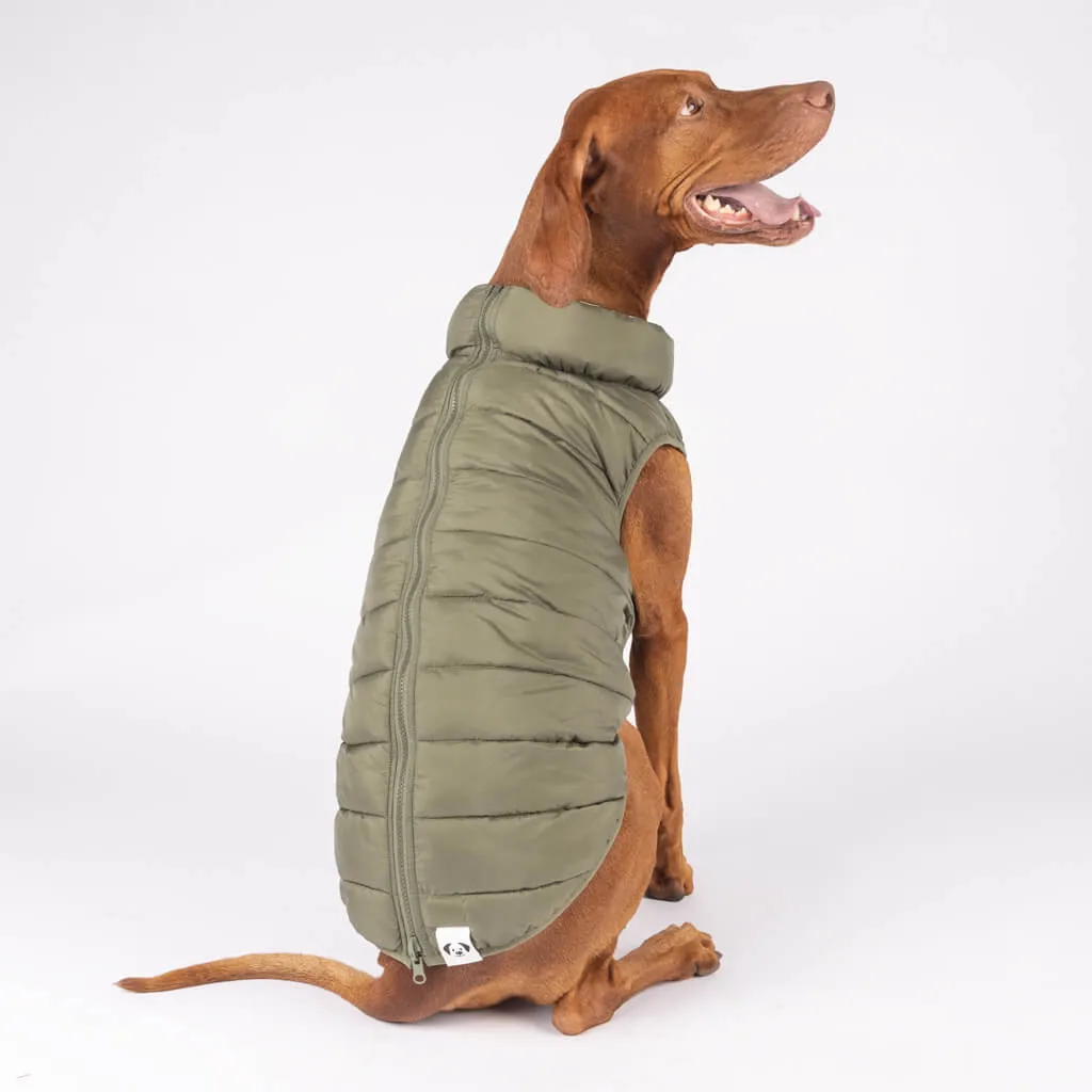 The Winterproof Reversible Dog Puffer Jacket | Green
