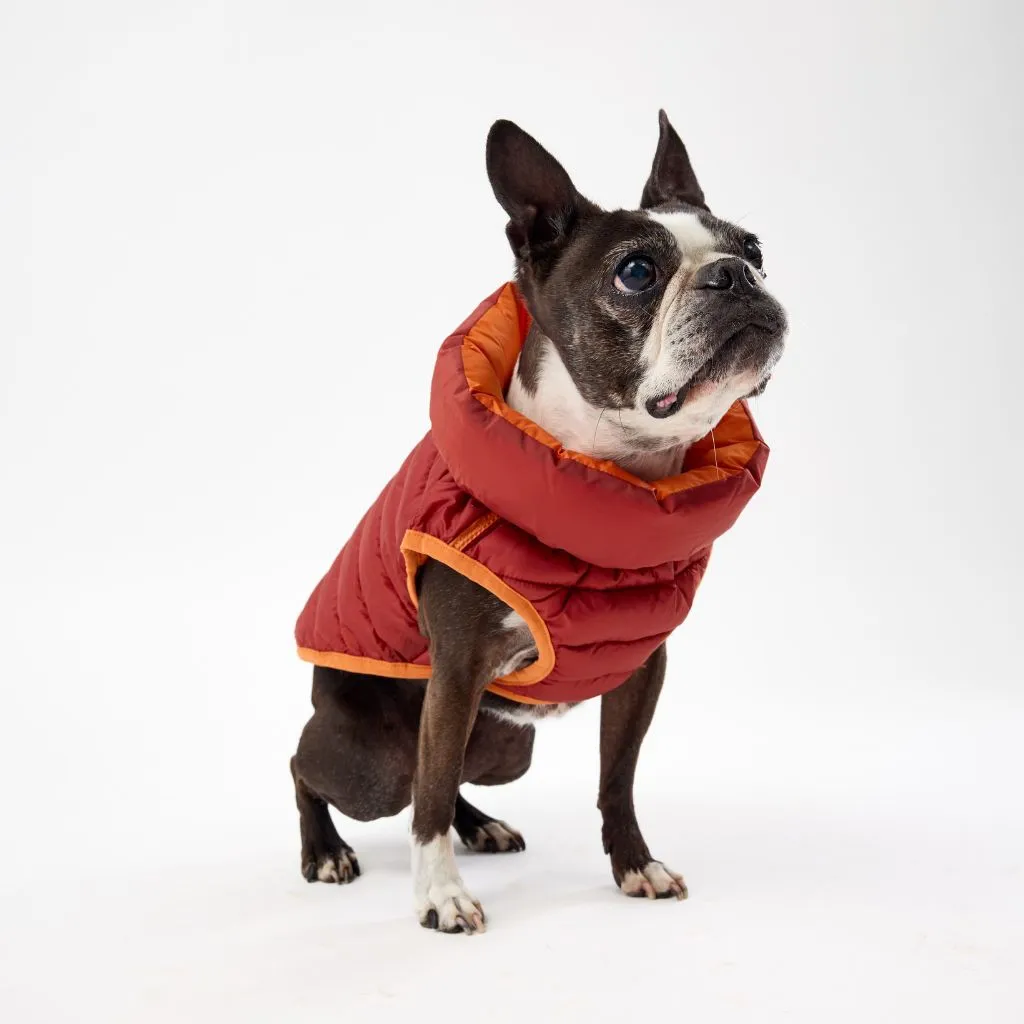 The Winterproof Reversible Dog Puffer Jacket | Orange
