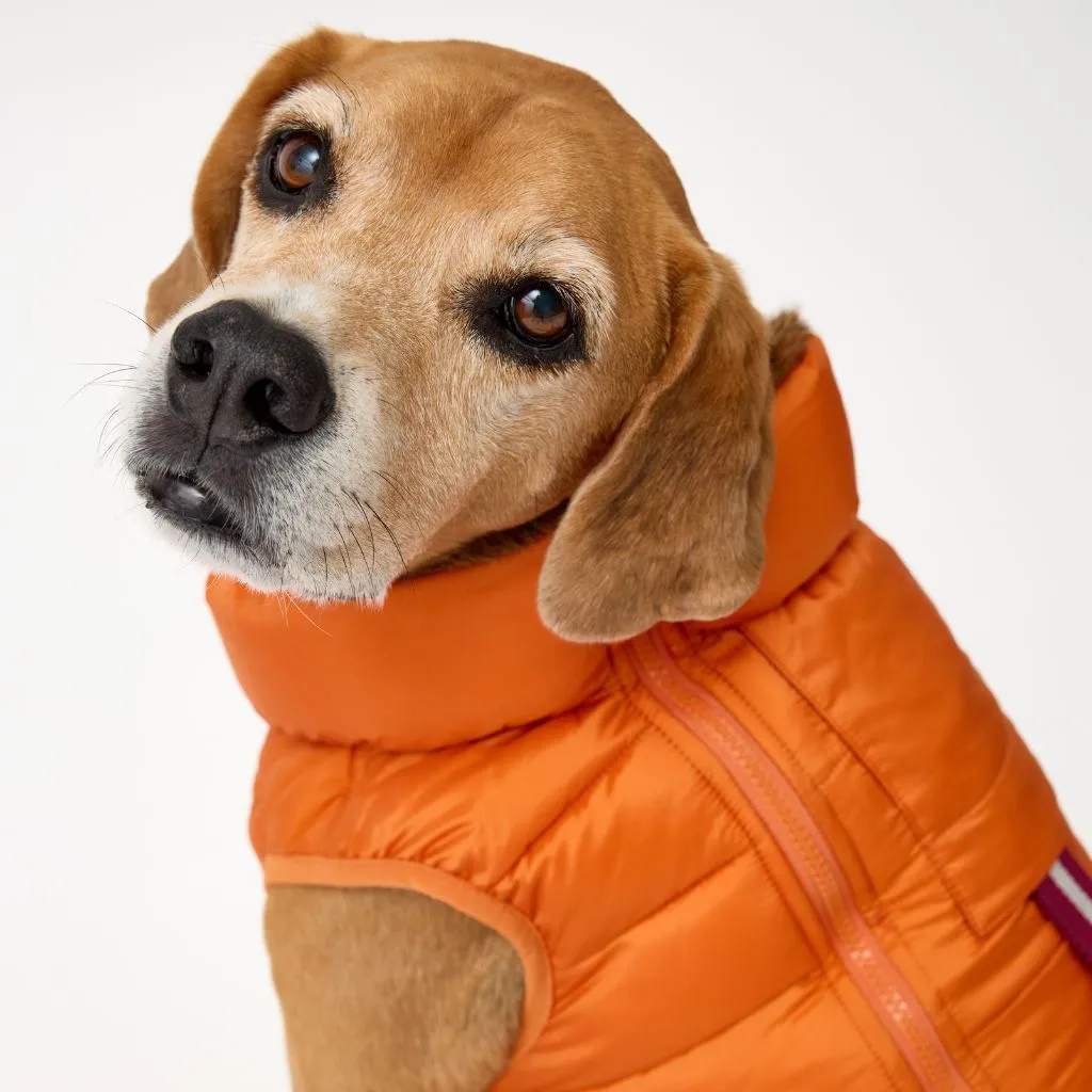 The Winterproof Reversible Dog Puffer Jacket | Orange