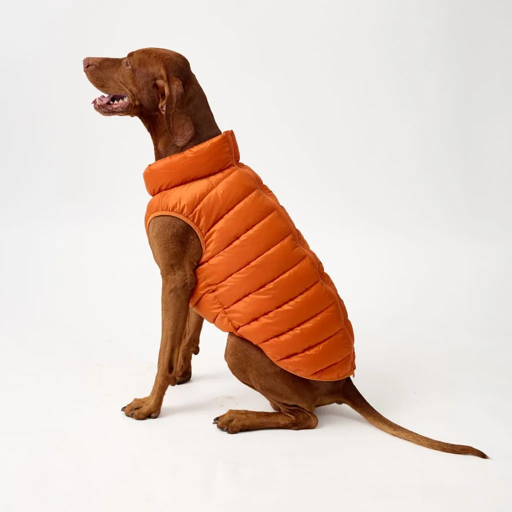 The Winterproof Reversible Dog Puffer Jacket | Orange