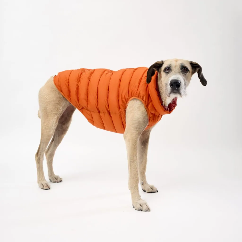 The Winterproof Reversible Dog Puffer Jacket | Orange