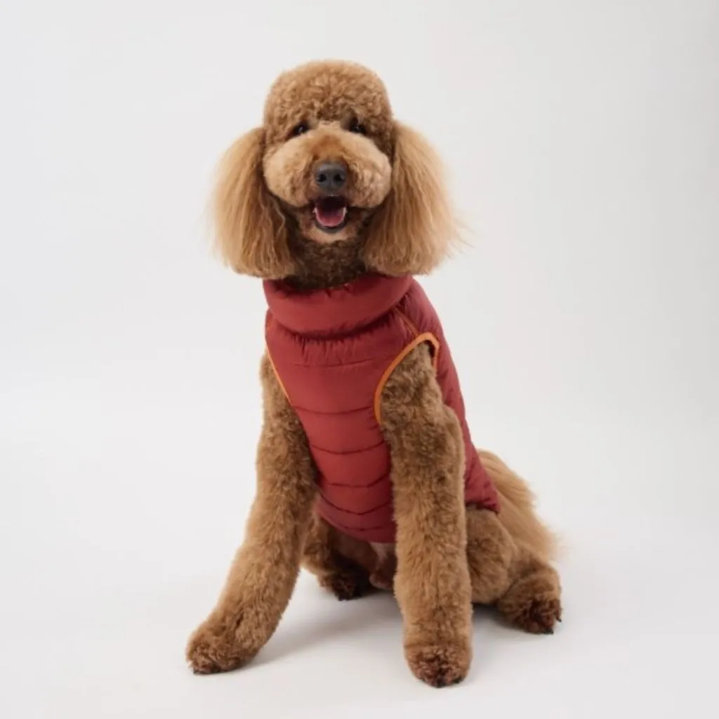 The Winterproof Reversible Dog Puffer Jacket | Orange