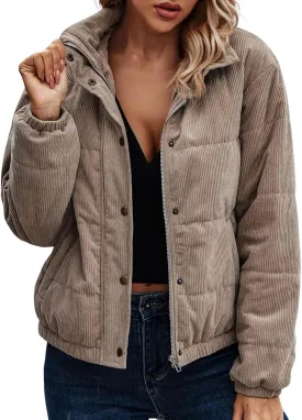 Women Warm 2024 Winter Coats Trendy Casual Quilted Parka Lapel Zip Jacket Fashion Windproof Down Puffer Coat Outerwear
